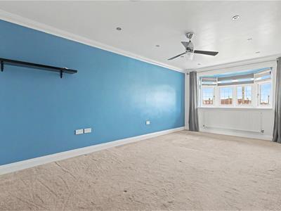 Picture 41
